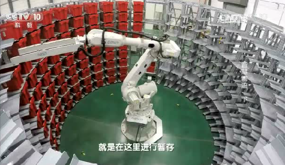 德尚智能：從分揀、輸送到倉儲 智能物流技術花式秀
